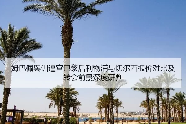 mu-ba-pei-ba-xun-bi-gong-ba-li-hou-li-wu-pu-yu-qie-er-xi-bao-jia-dui-bi-ji-zhuan-hui-qian-jing-shen-du-yan-pan-2-657.jpg