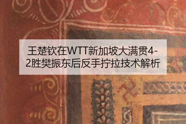 王楚钦在WTT新加坡大满贯4-2胜樊振东后反手拧拉技术解析